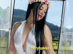 Meryhawker