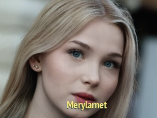 Merylarnet