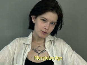 Meryldavidge