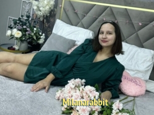 Milanarabbit