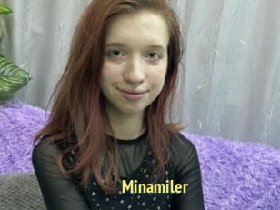 Minamiler