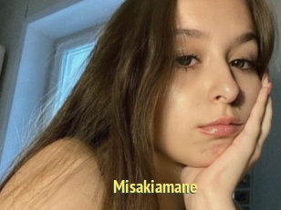 Misakiamane
