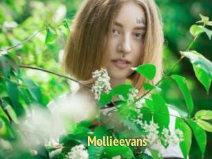 Mollieevans