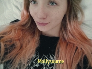 Mollysourne