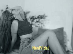 NaniVidal