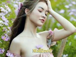 NiallDavid