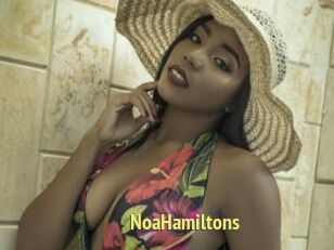 NoaHamiltons