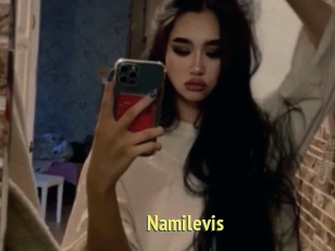 Namilevis
