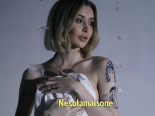 Nesolamaisone