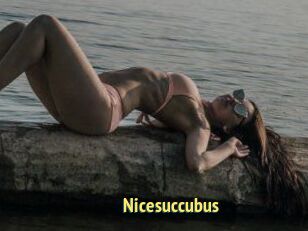 Nicesuccubus
