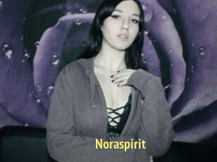 Noraspirit