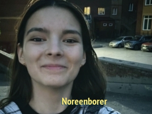 Noreenborer