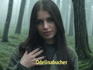 Odelinabucher