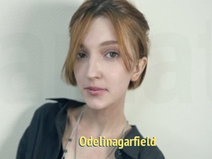 Odelinagarfield
