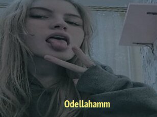 Odellahamm