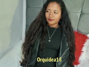 Orquidea18