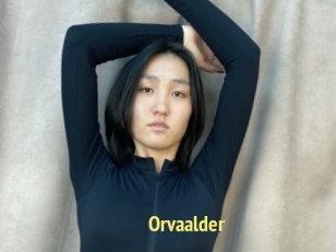 Orvaalder