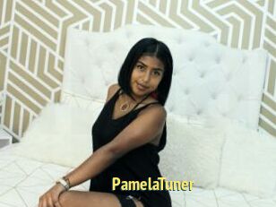 PamelaTuner