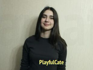PlayfulCate