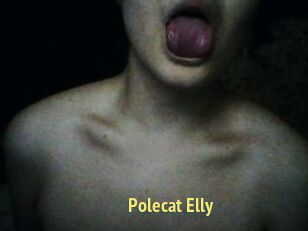 Polecat_Elly