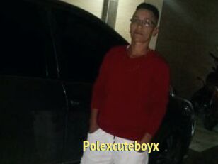Polexcuteboyx