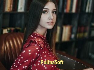 PolinaSoft