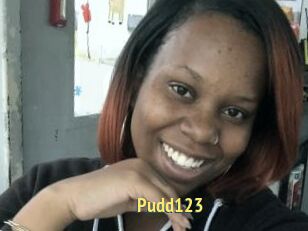 Pudd123