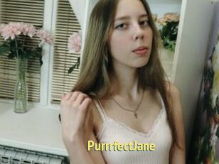 PurrrfectJane