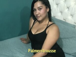Palmerrbrousse