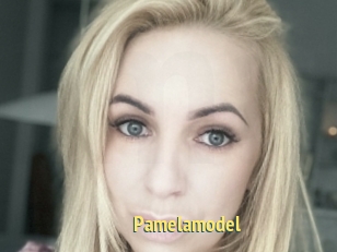 Pamelamodel