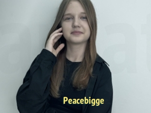 Peacebigge