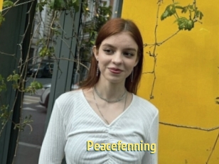 Peacefenning