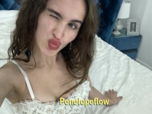 Penelopeflow