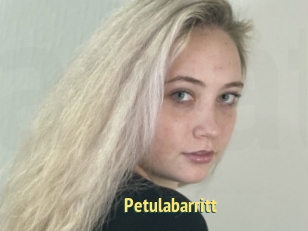 Petulabarritt