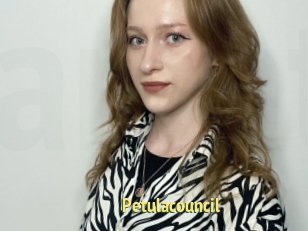 Petulacouncil