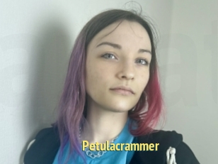 Petulacrammer
