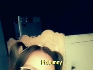 Pixbunny