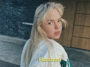 Plantarosa