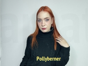 Pollyberner