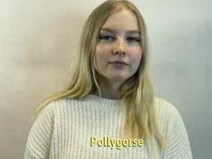 Pollygorse