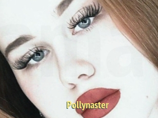 Pollynaster