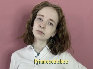 Primrosebisbee