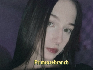 Primrosebranch