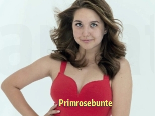 Primrosebunte