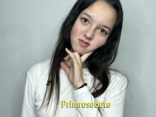 Primrosebute