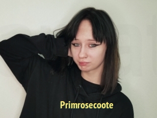 Primrosecoote