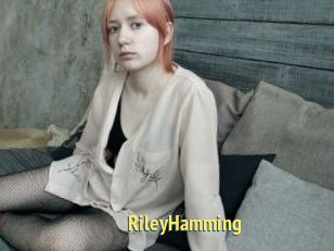 RileyHamming
