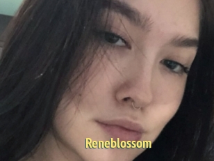 Reneblossom