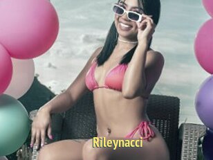 Rileynacci