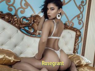Rosegrant